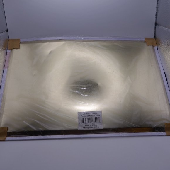 Two(2) Funny Car Champion Tin Picture Plaques (Tony Pedregon & Castrol Racing) - Picture 2 of 13